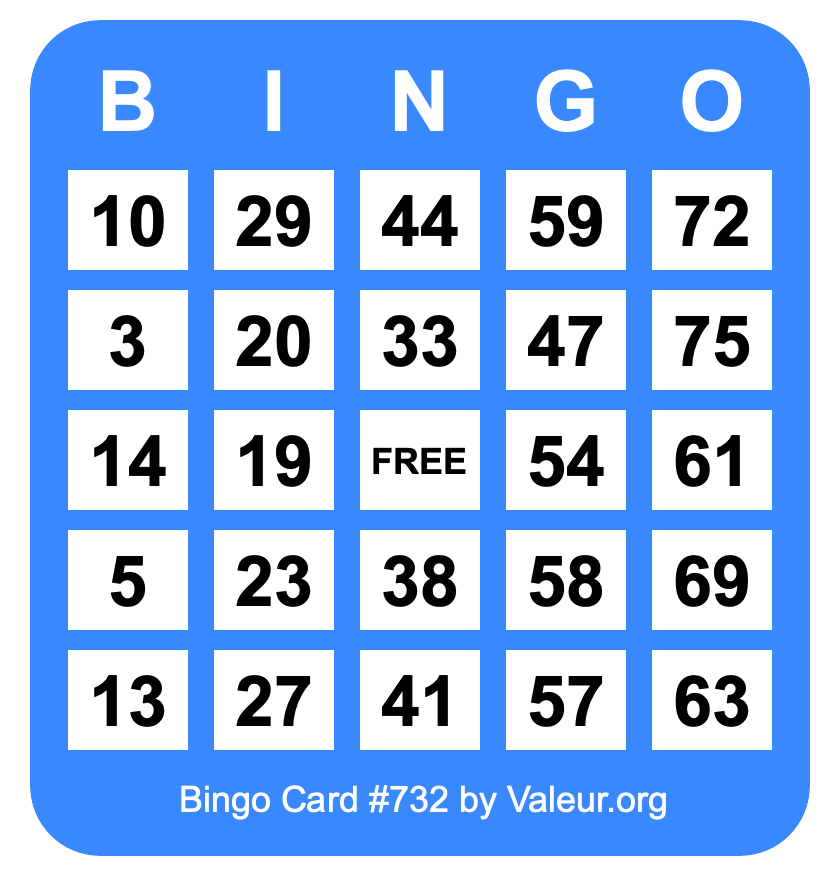 Bingo Card #732