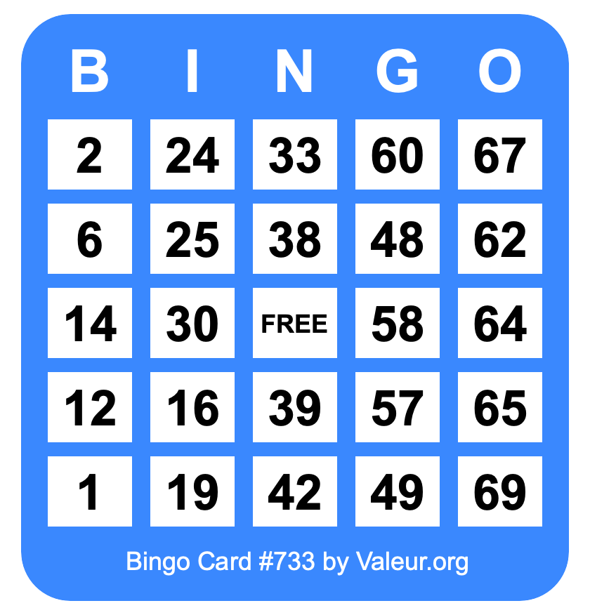 Bingo Card #733 Bingo Card #733