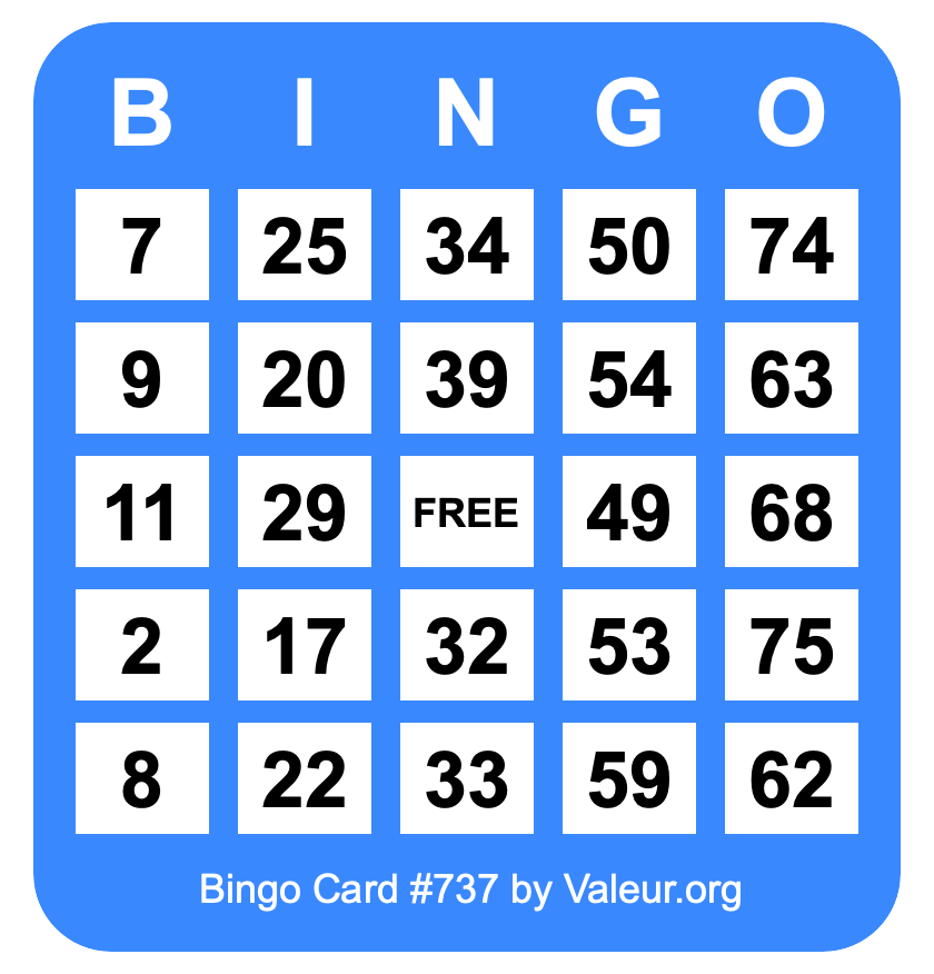 Bingo Card #737 Bingo Card #737