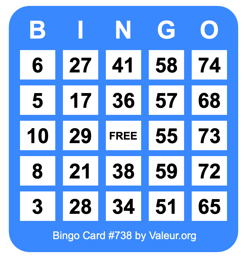 Bingo Card #738