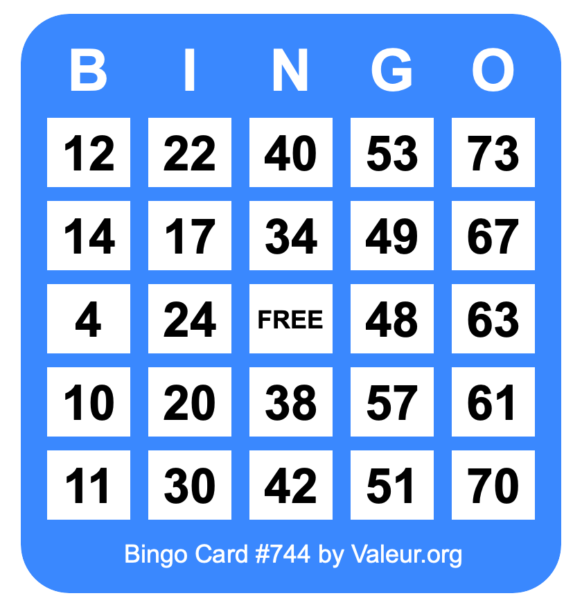 Bingo Card #744