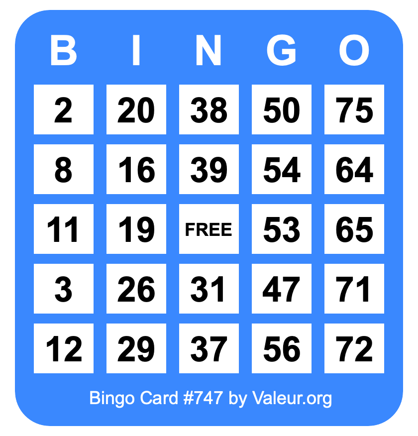 Bingo Card #747
