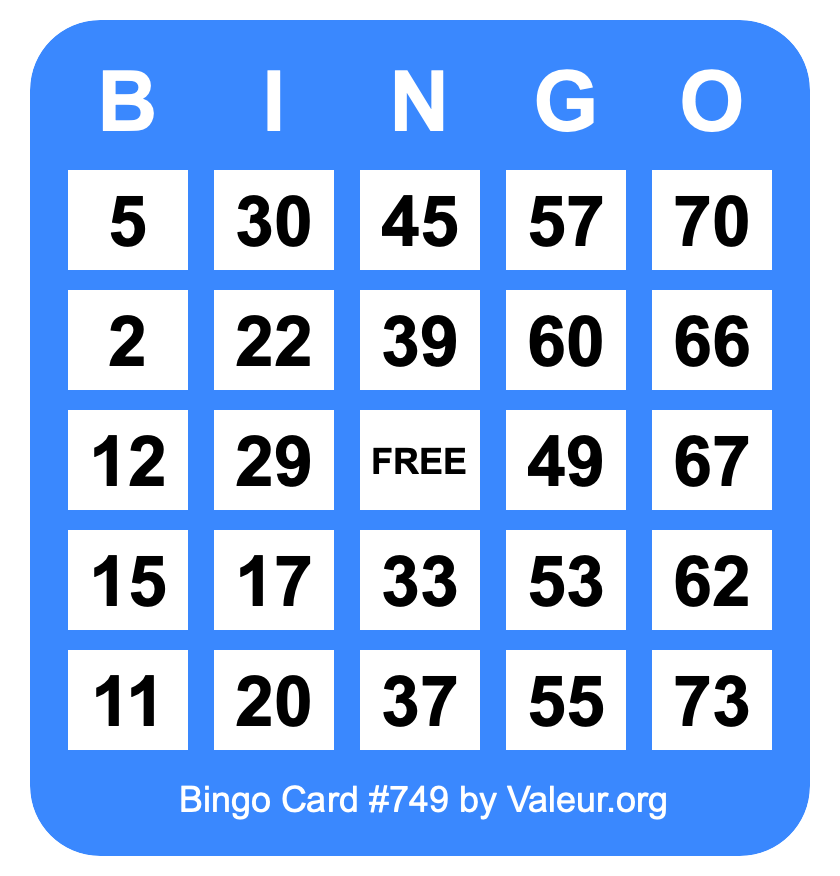 Bingo Card #749