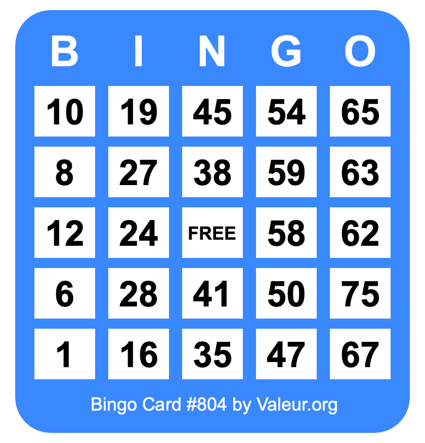 Bingo Card #804