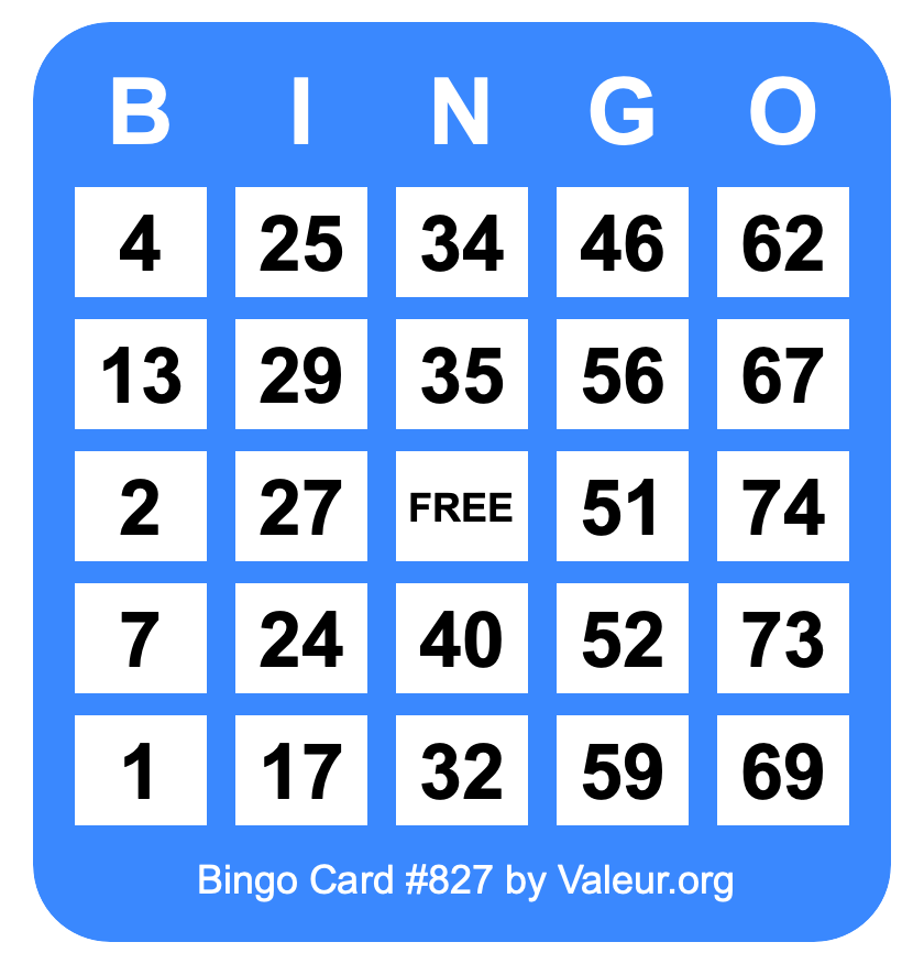 Bingo Card #827