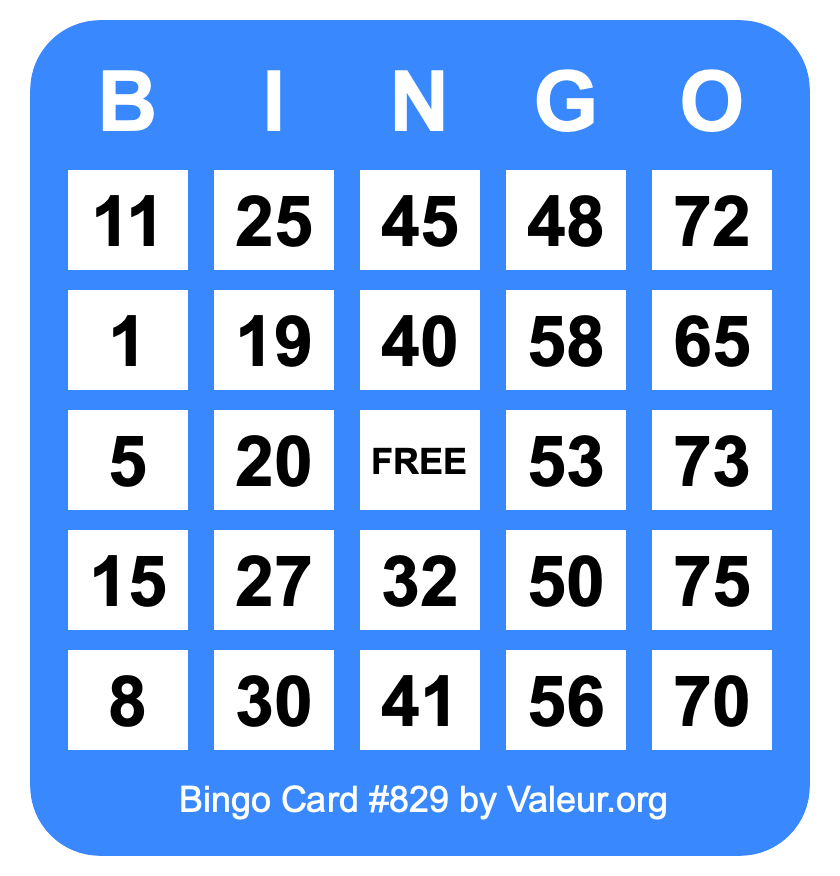 Bingo Card #829