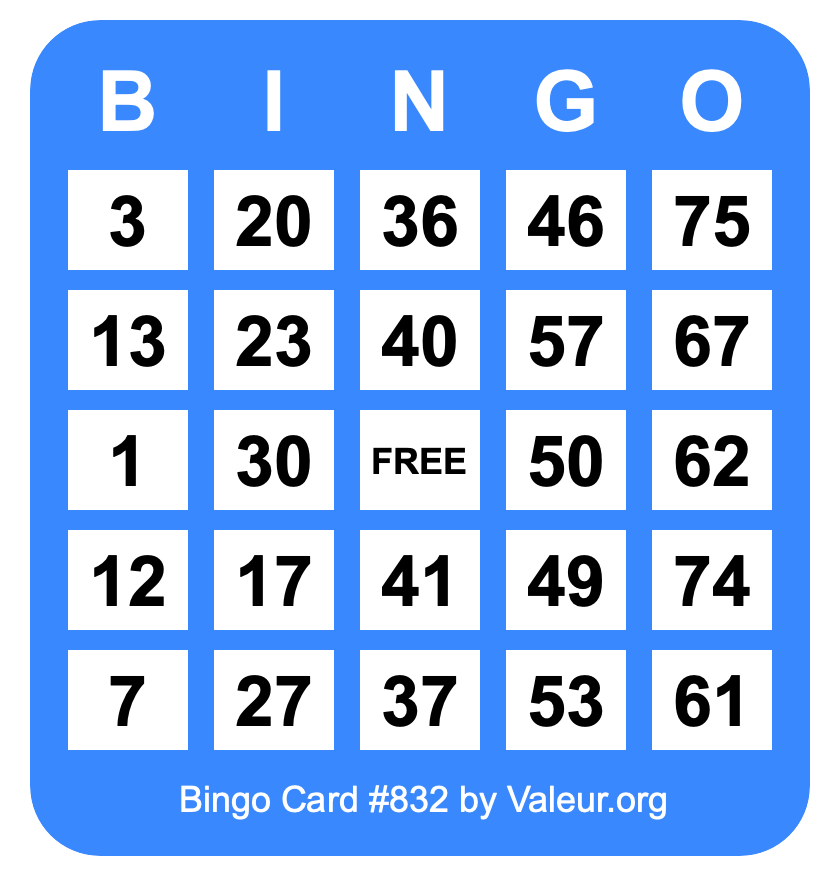 Bingo Card #832 Bingo Card #832
