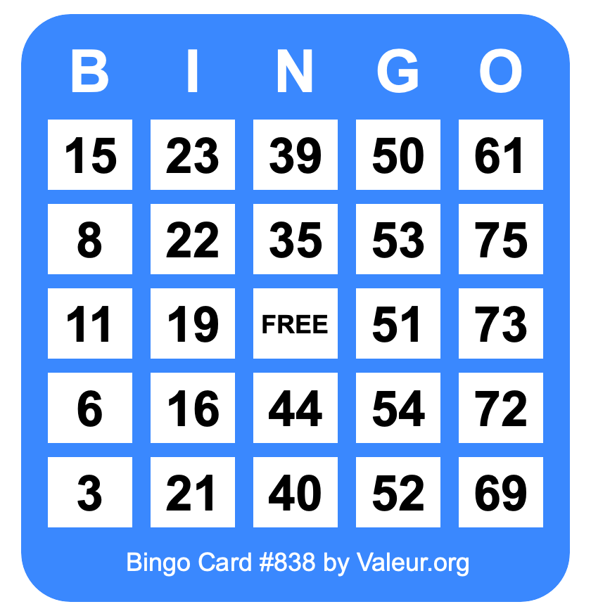 Bingo Card #838