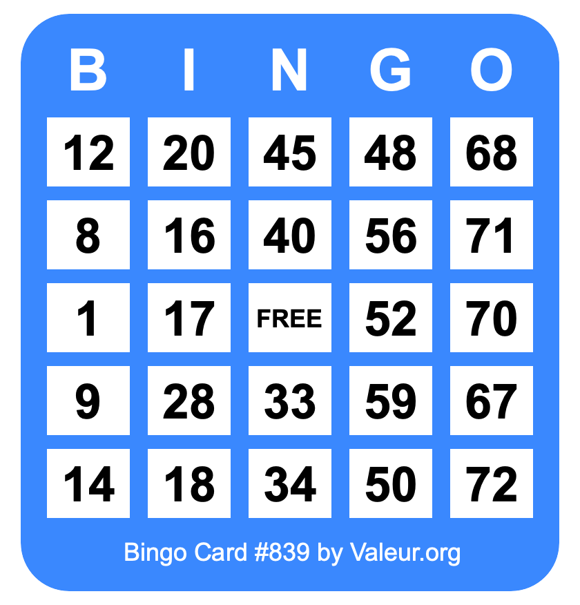 Bingo Card #839 Bingo Card #839