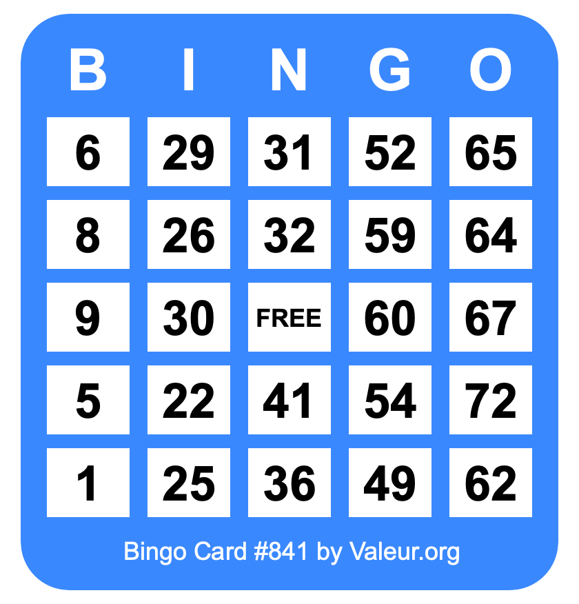 Bingo Card #841