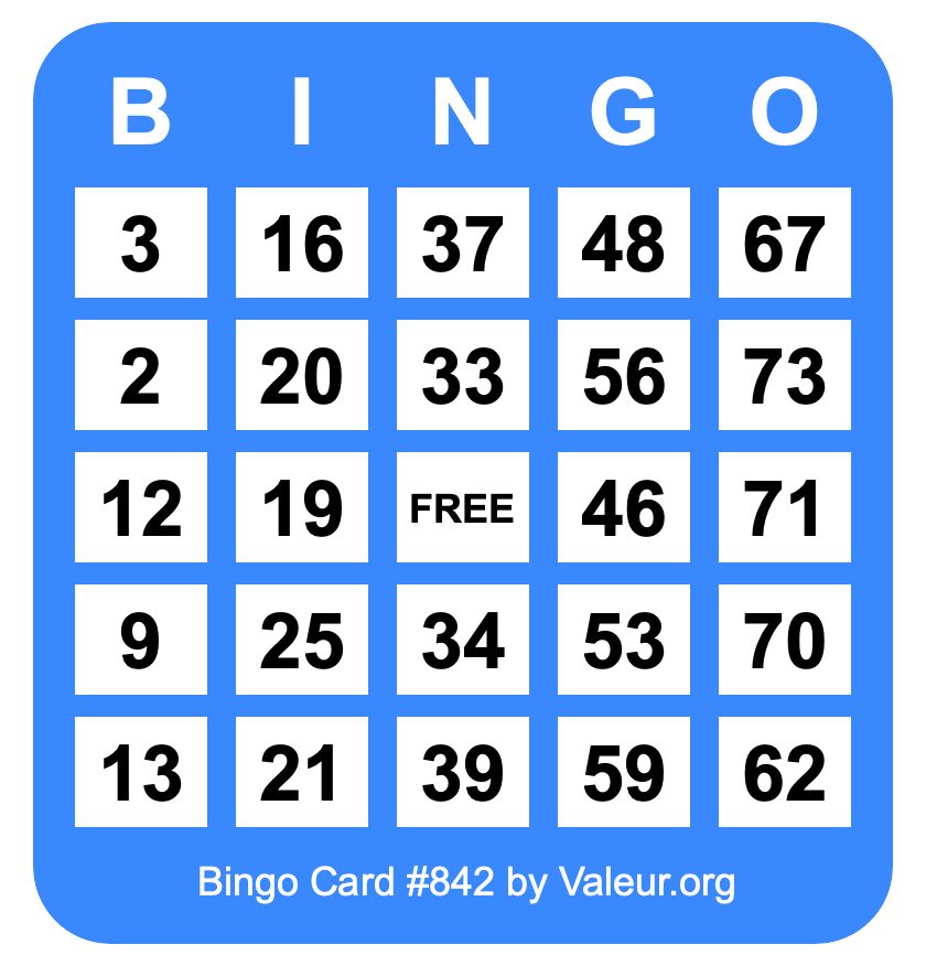 Bingo Card #842 Bingo Card #842