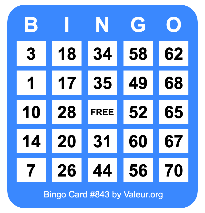 Bingo Card #843