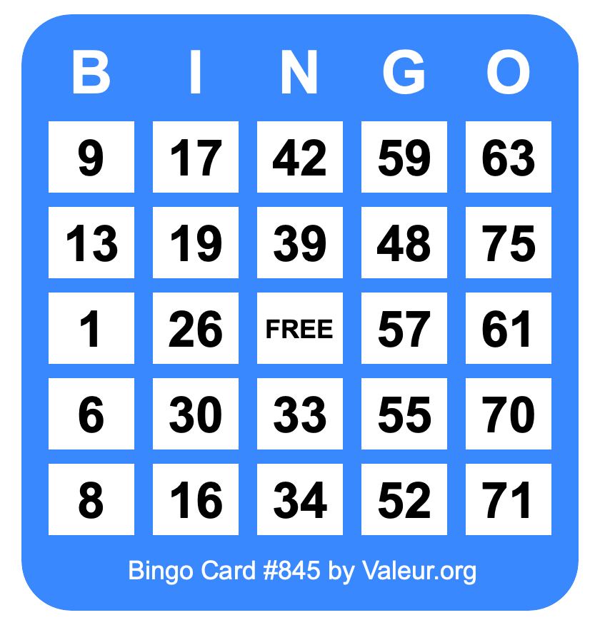 Bingo Card #845