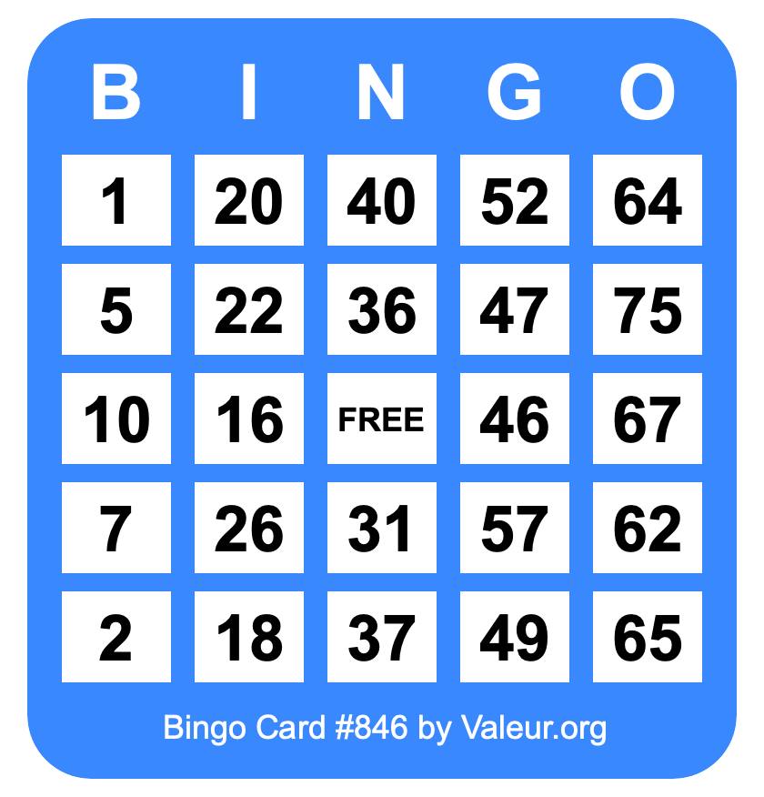 Bingo Card #846