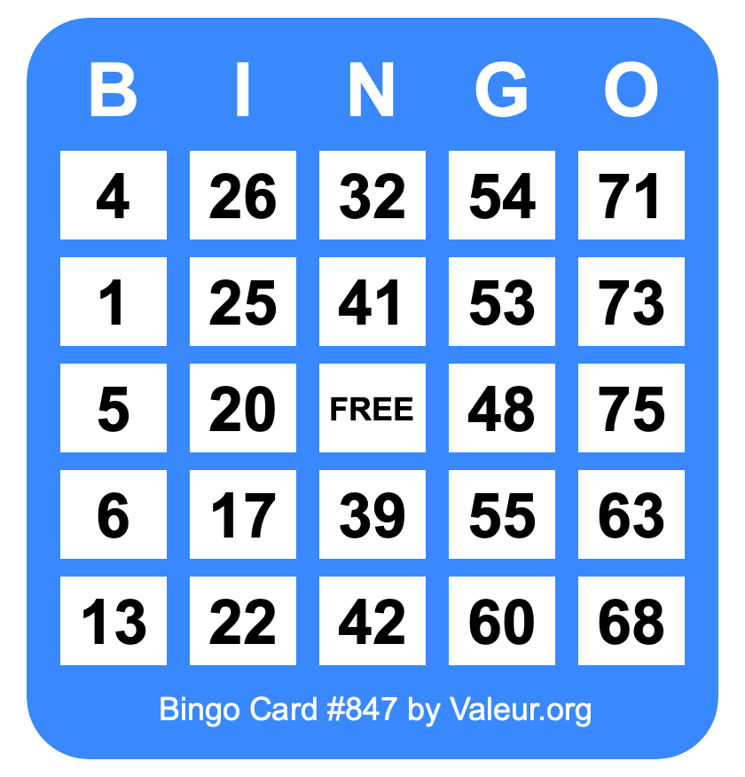 Bingo Card #847