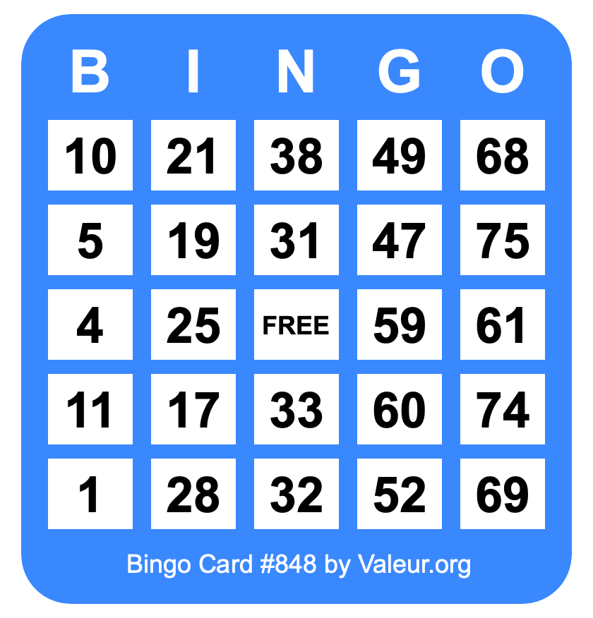 Bingo Card #848