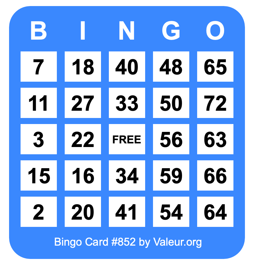 Bingo Card #852