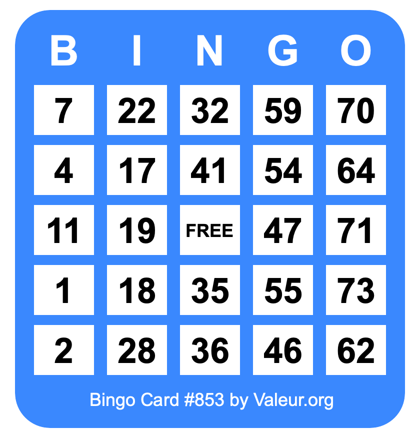 Bingo Card #853