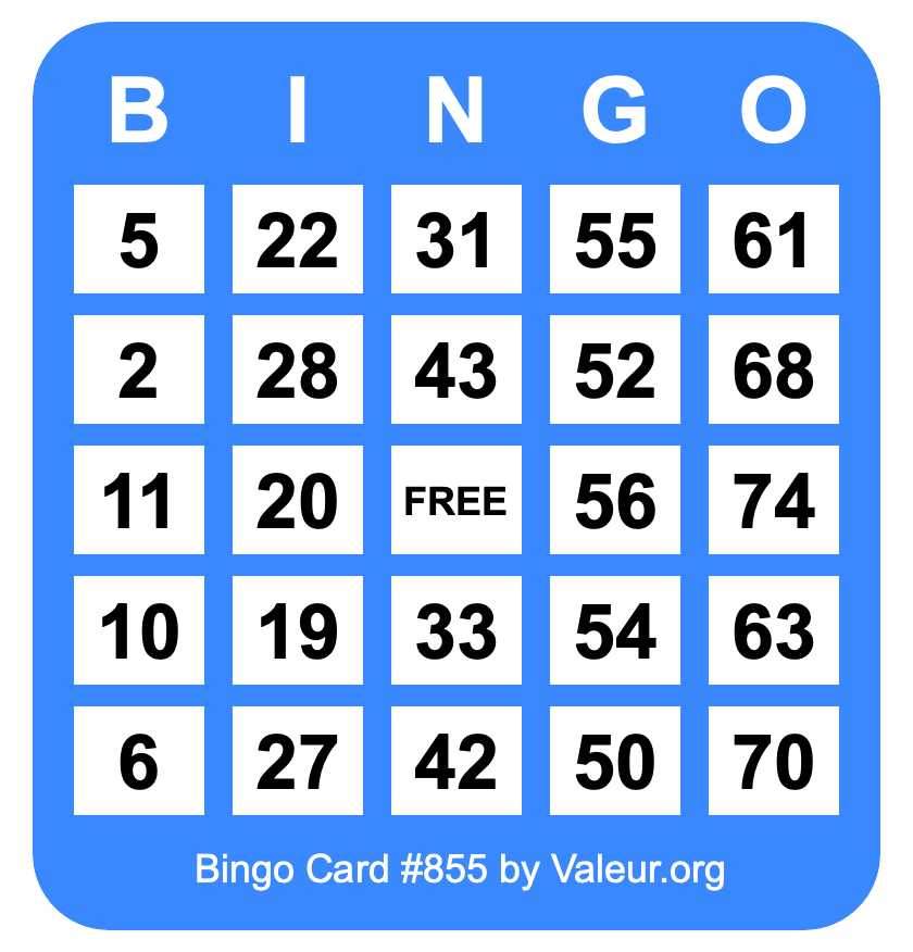 Bingo Card #855