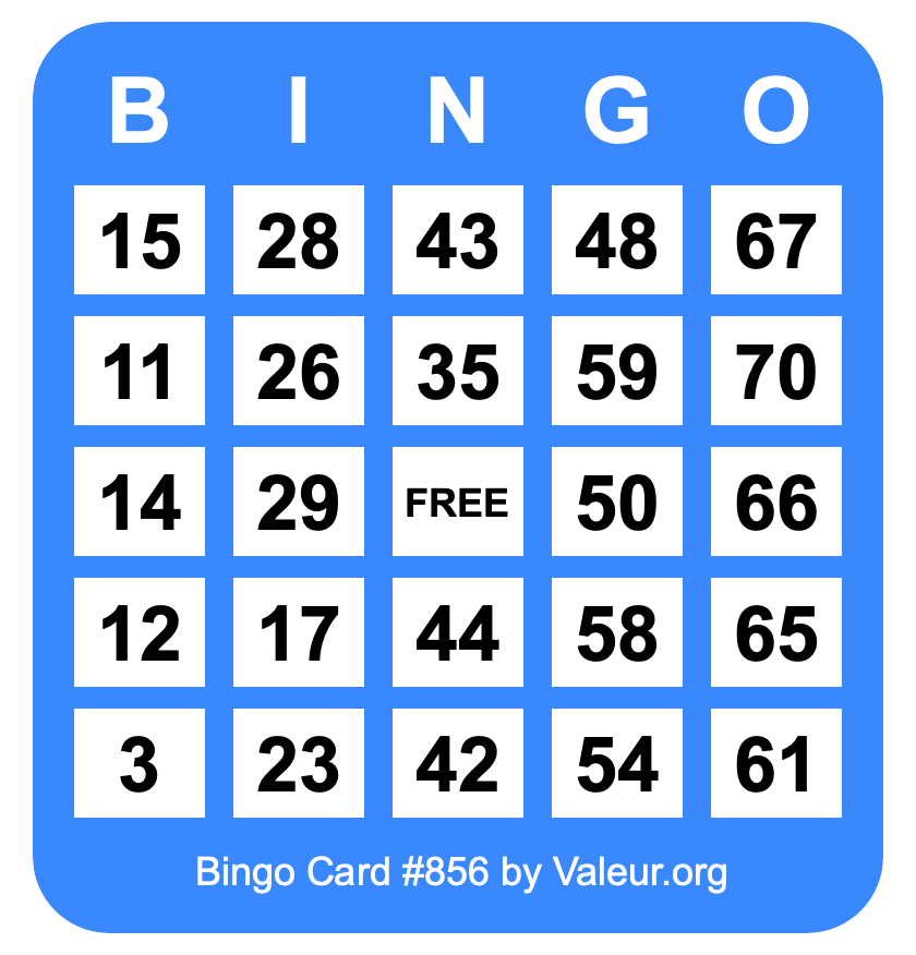 Bingo Card #856