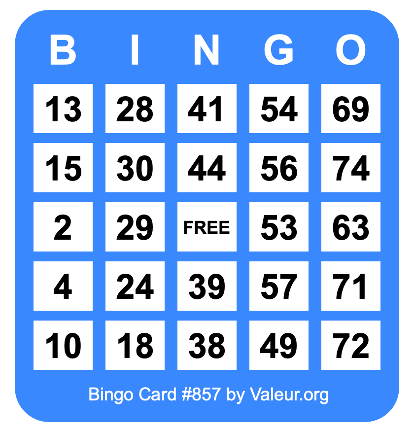 Bingo Card #857