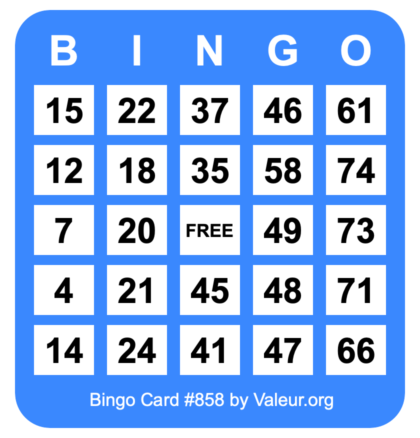 Bingo Card #858