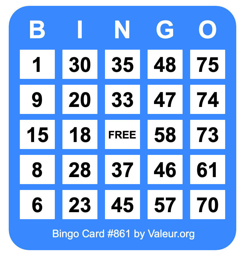 Bingo Card #861