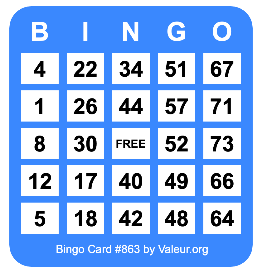 Bingo Card #863