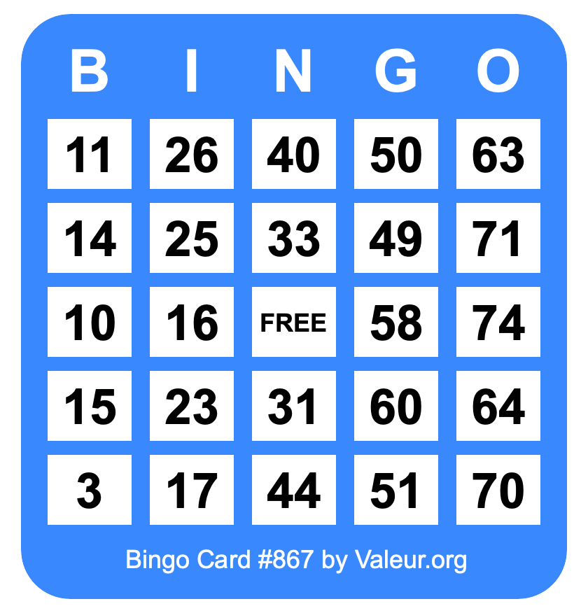 Bingo Card #867