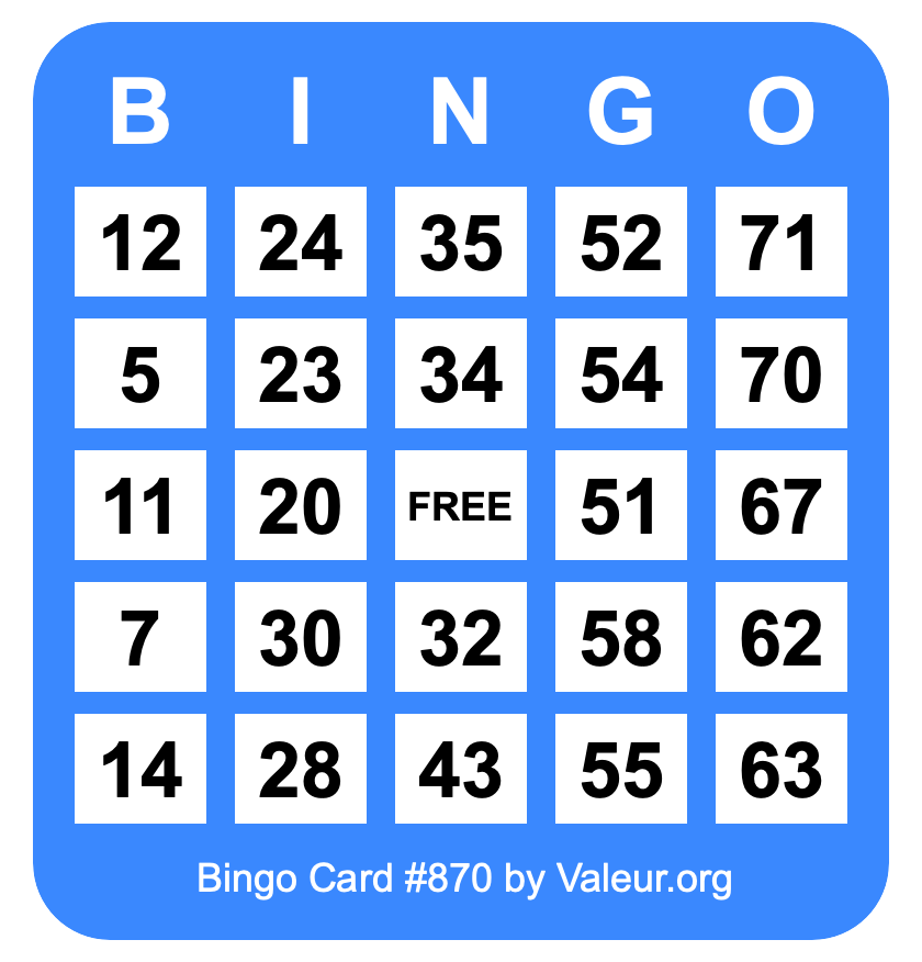 Bingo Card #870