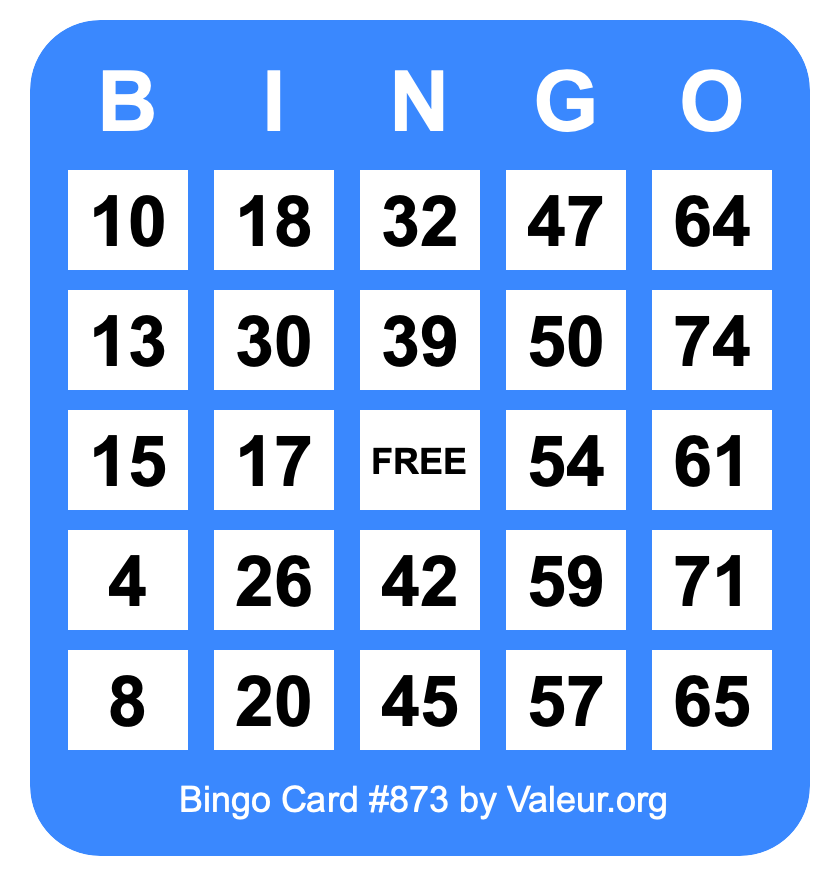 Bingo Card #873