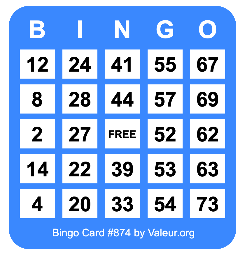 Bingo Card #874