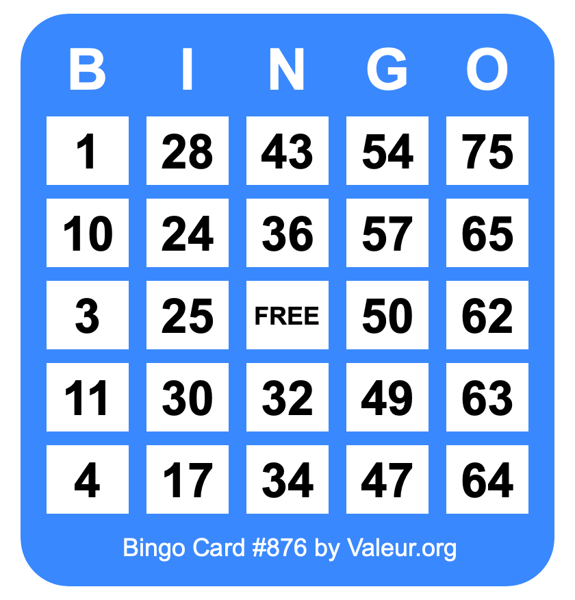 Bingo Card #876