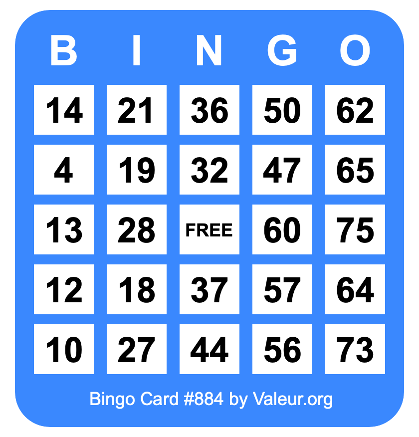 Bingo Card #884