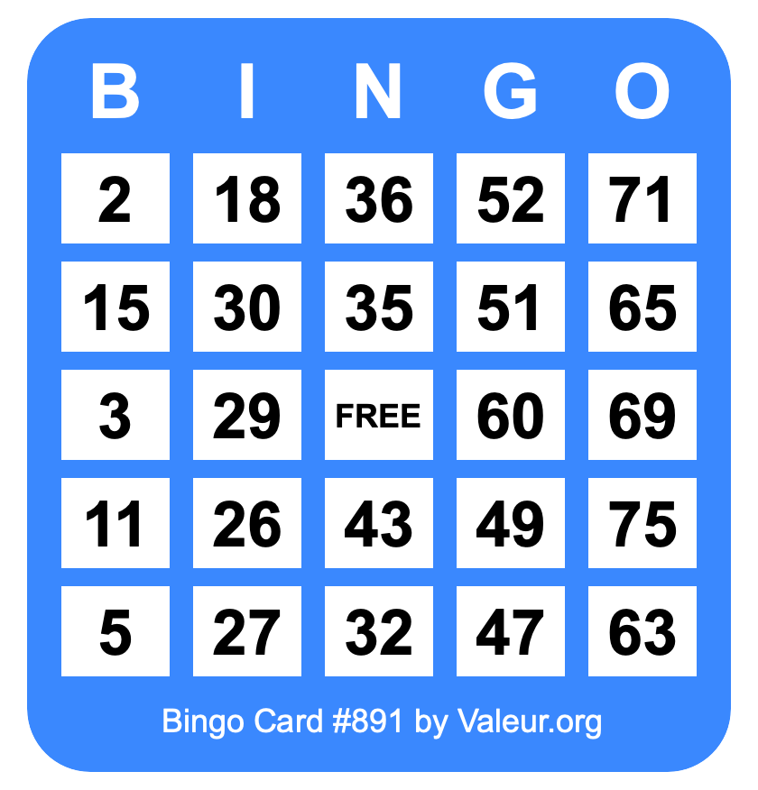 Bingo Card #891