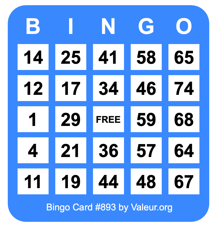 Bingo Card #893