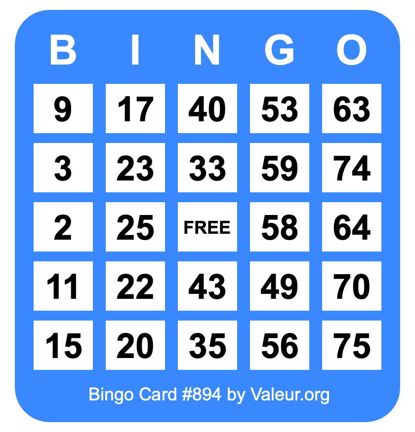 Bingo Card #894