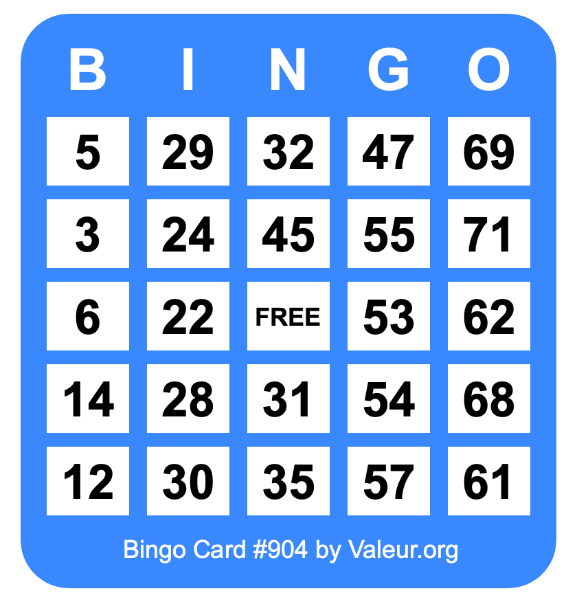 Bingo Card #904