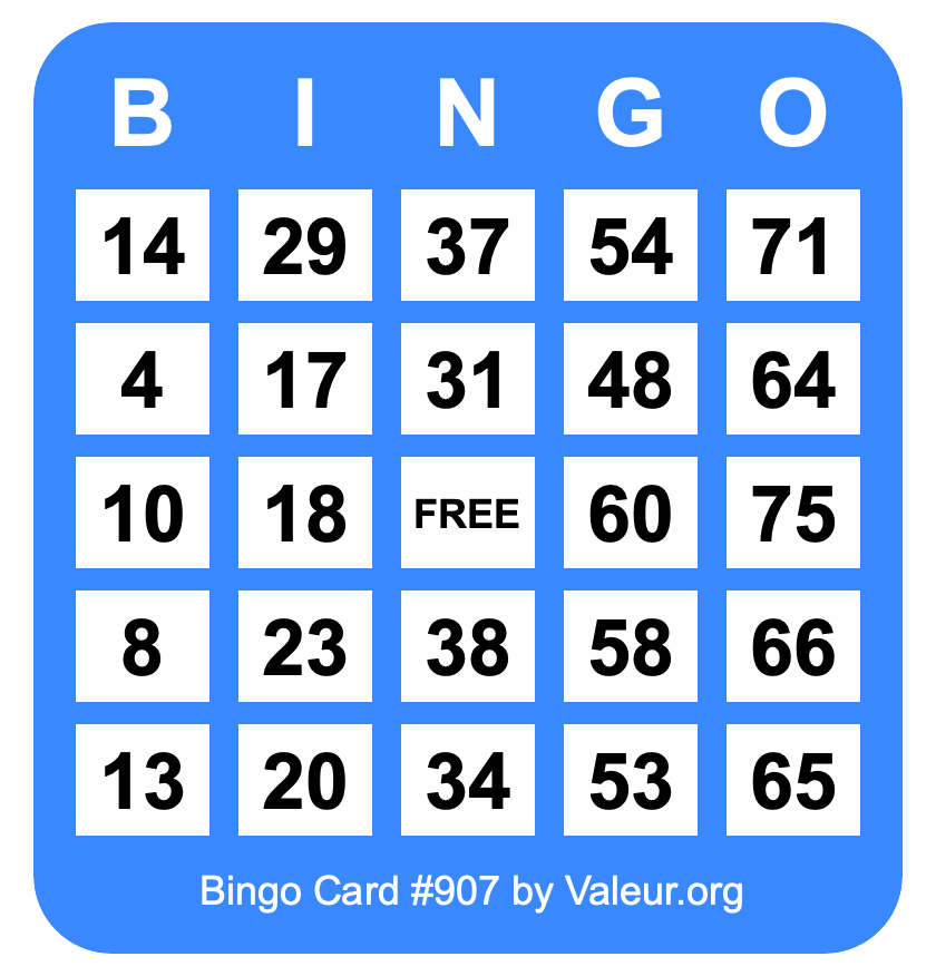 Bingo Card #907