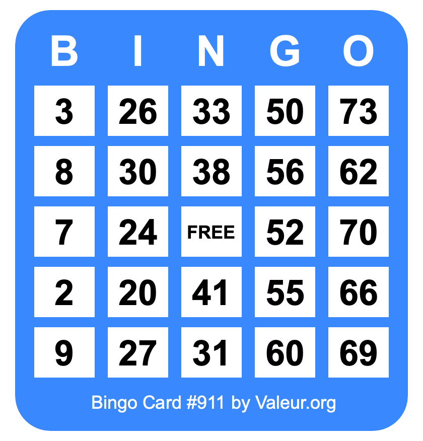 Bingo Card #911