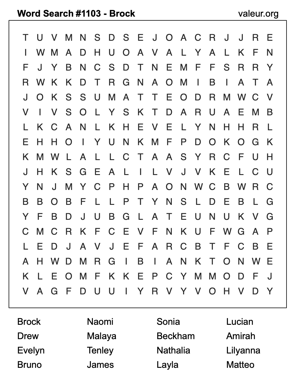 Word Search Puzzle with the name Brock #1103 Word Search Puzzle with the name Brock #1103