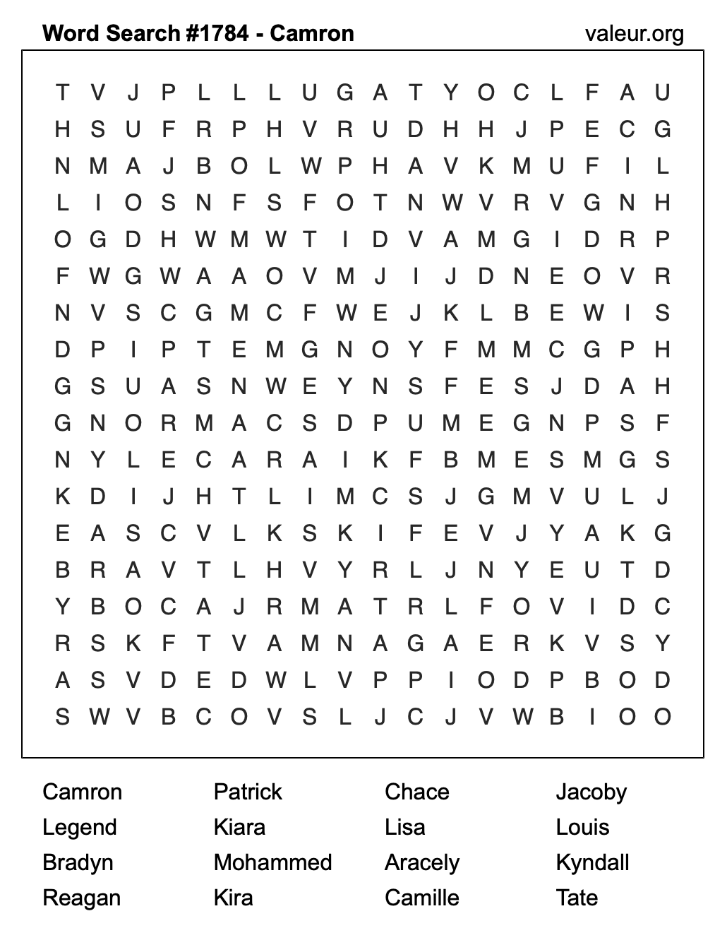 Word Search Puzzle with the name Camron #1784
