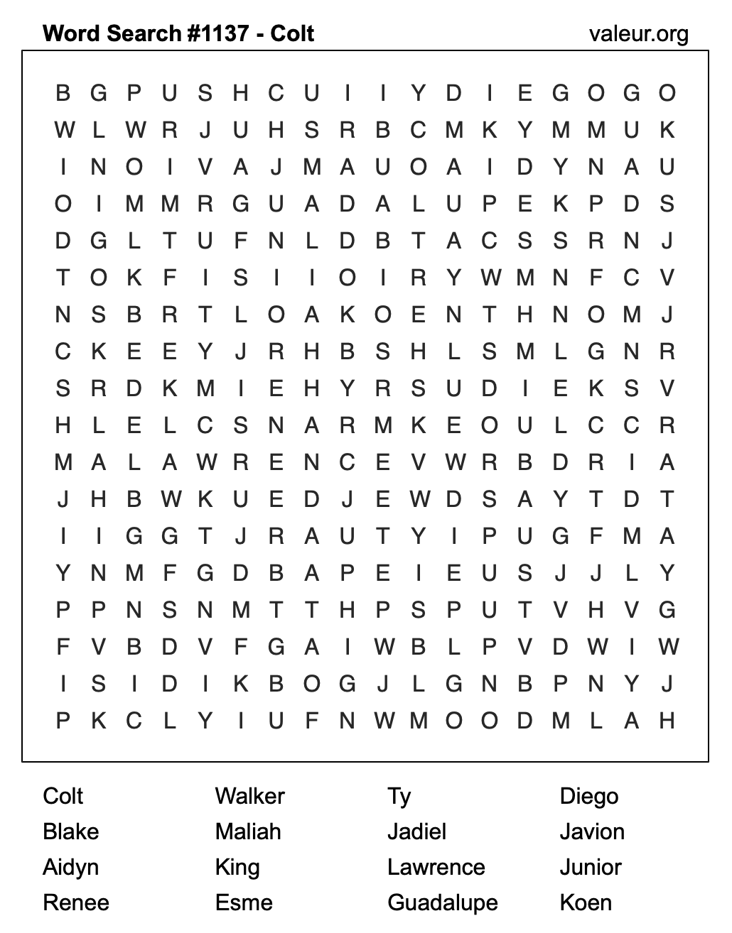 Word Search Puzzle with the name Colt #1137