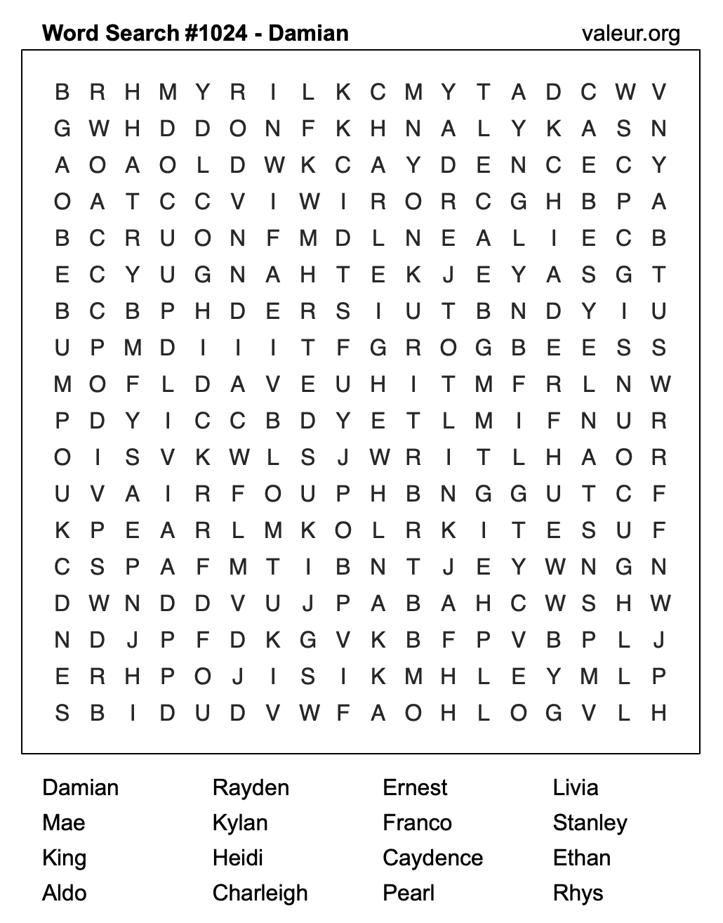 Word Search Puzzle with the name Damian #1024