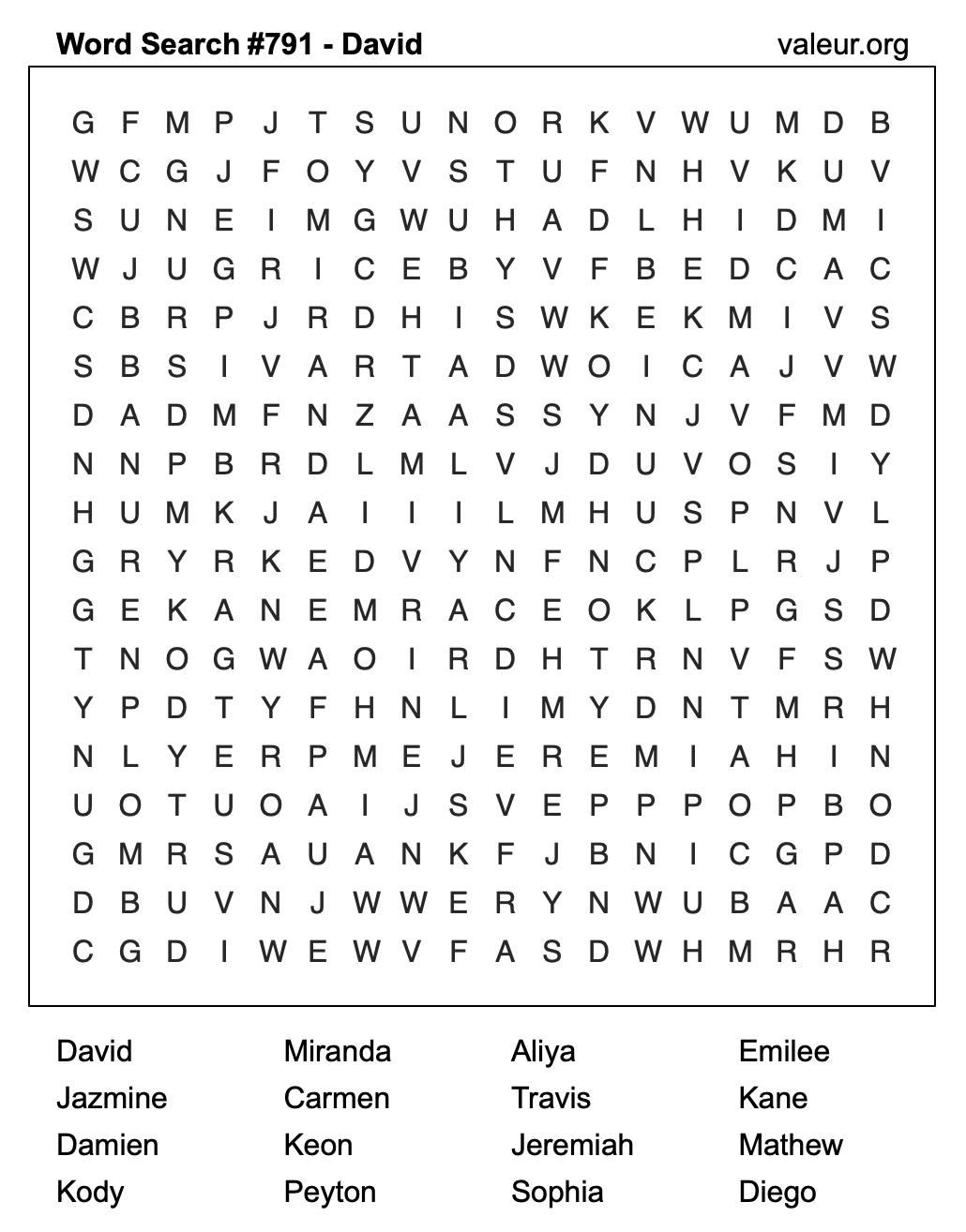 Word Search Puzzle with the name David #791 Word Search Puzzle with the name David #791