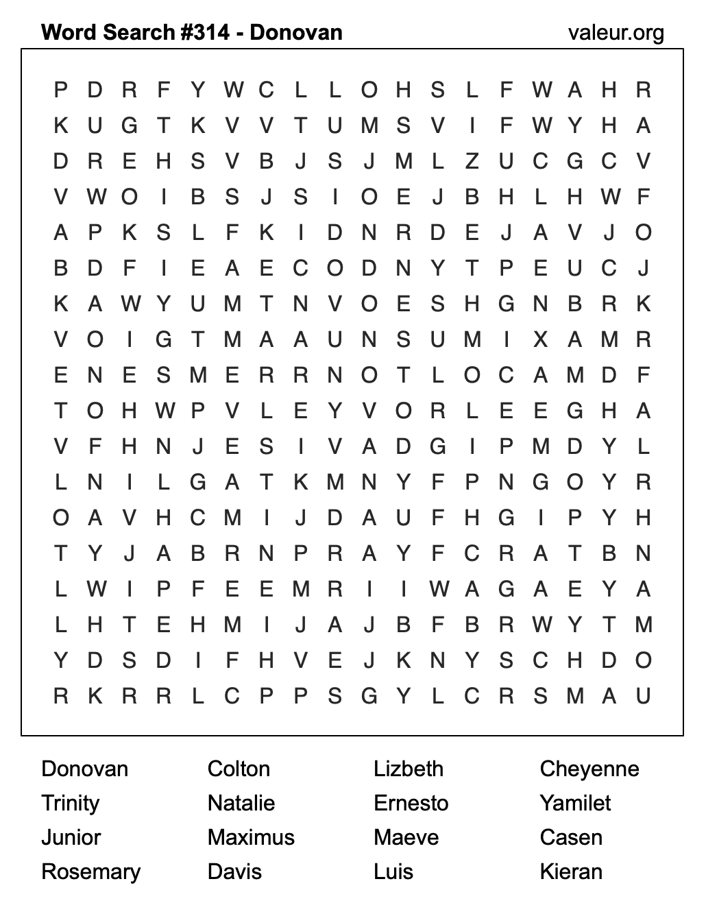 Word Search Puzzle with the name Donovan #314