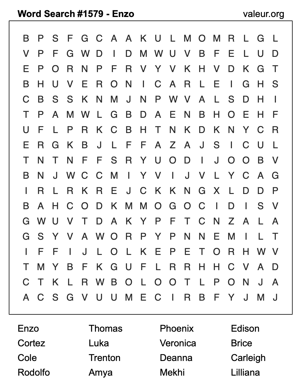 Word Search Puzzle with the name Enzo #1579