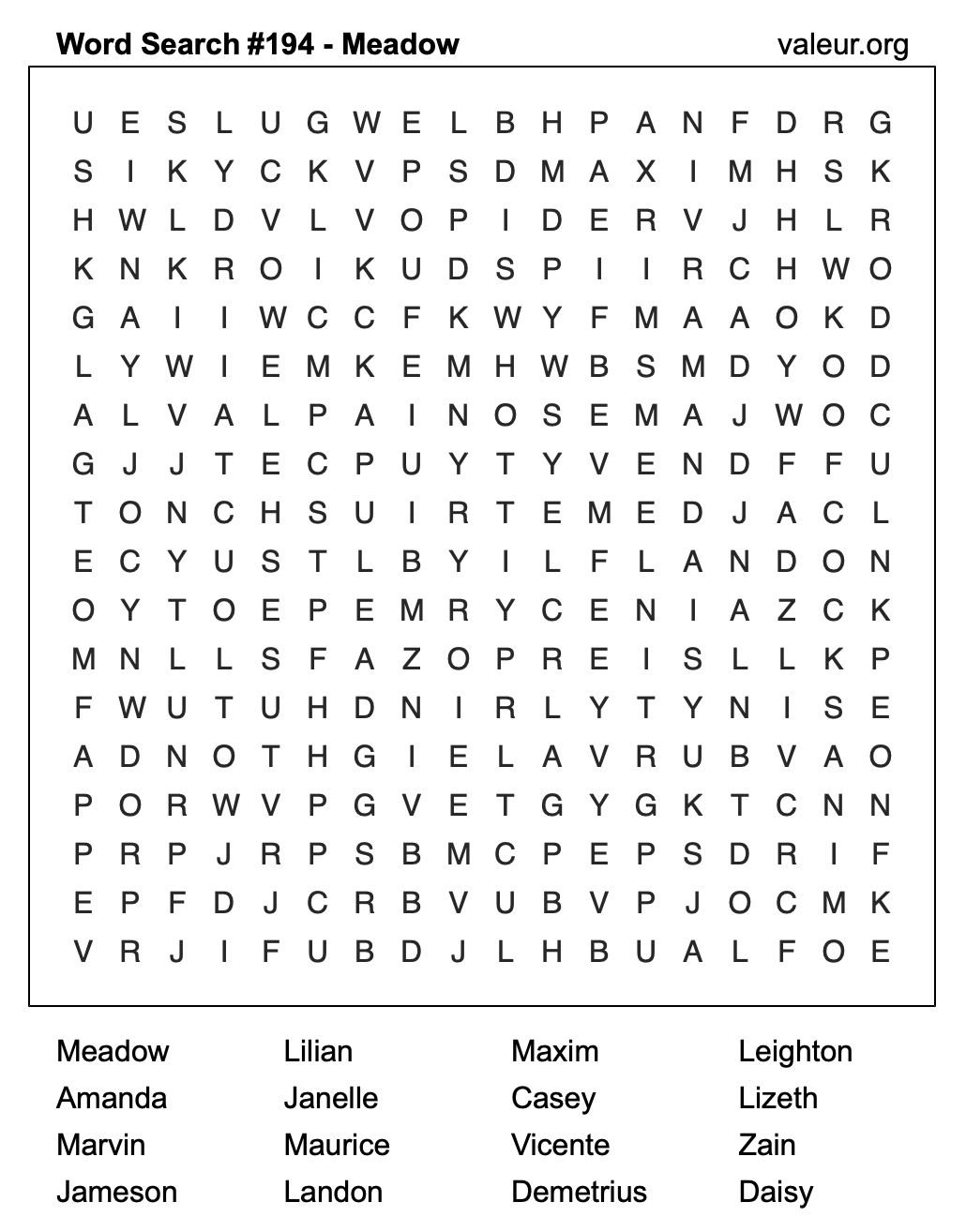 Word Search Puzzle with the name Meadow #194 Word Search Puzzle with the name Meadow #194