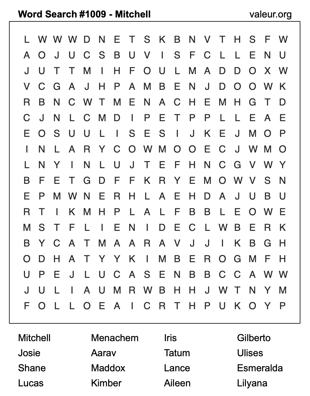 Word Search Puzzle with the name Mitchell #1009