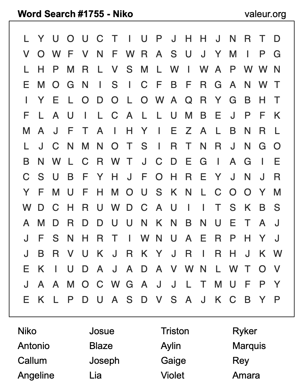 Word Search Puzzle with the name Niko #1755